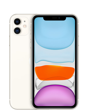 Paket aksesoris original Apple: case dan charger